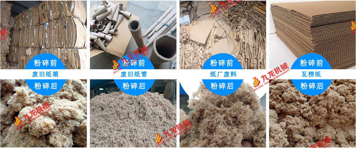 废纸撕乐动（中国）成为废纸回收路上的重要设备(图2)
