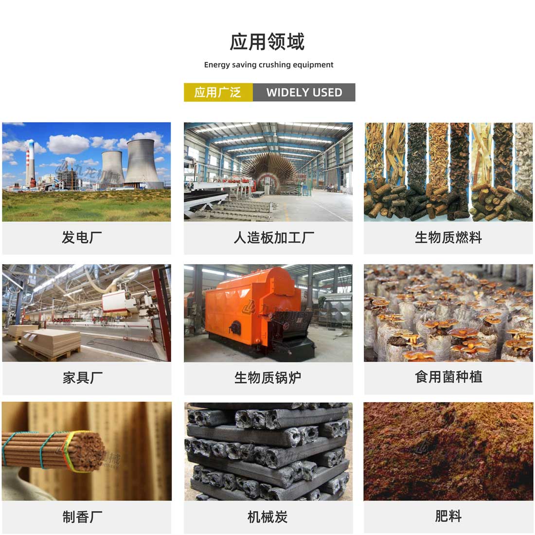 木材撕乐动（中国）应用领域