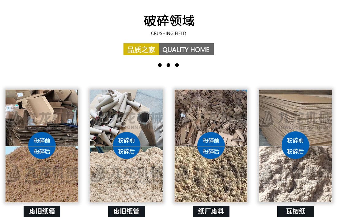 废纸撕乐动（中国）