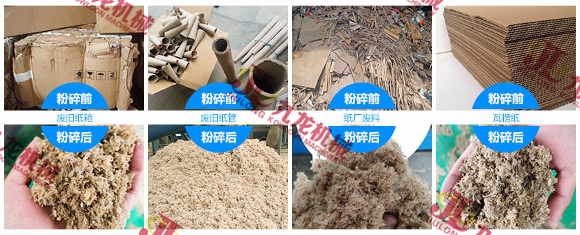 废纸撕乐动（中国）