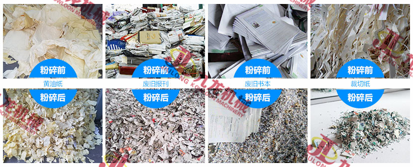 废纸撕乐动（中国）